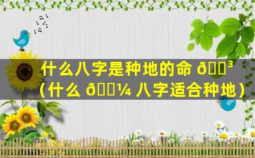 什么八字是种地的命 🐳 （什么 🐼 八字适合种地）